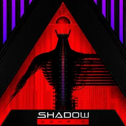 Shadow Domain