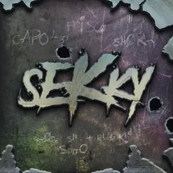 Sekky-Radio Edit