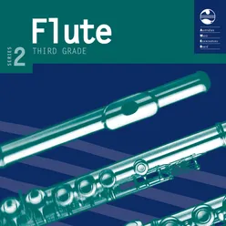 Fantasias for Flute without Bass No. 2, TWV 40:4: Allegro