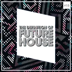 The Definition of Future House, Vol. 15