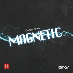 Magnetic-Extended Mix