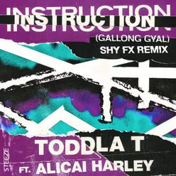 Instruction (Gallong Gal)-Shy FX Remix