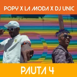 Pauta 4