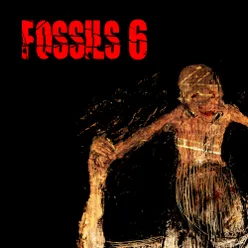Fossils 6