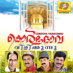 Aliyar Manam