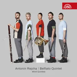 Wind Quintet in E-Flat Major, Op. 88 No. 2: No. 2, Menuetto. Allegro