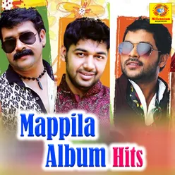 Mappila Album Hits