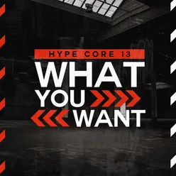 What You Want-Extended Mix