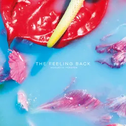 The Feeling Back-Acoustic