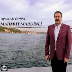 Aynık Ale Carıtna