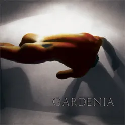 Gardenia