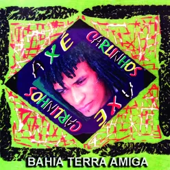 Bahia Terra Amiga