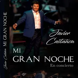 Mi Gran Noche-En Concierto