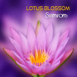 Lotus Blossom-Vibes Mix
