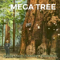 Mega Tree