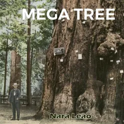 Mega Tree