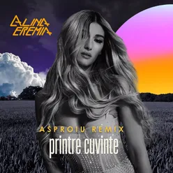 Printre Cuvinte-Asproiu Remix