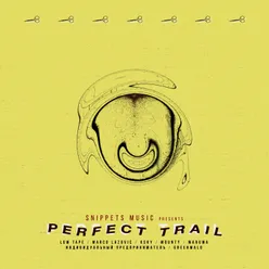 Perfect Trail