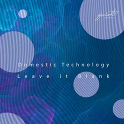 Leave It Blank-Max Lyazgin Remix