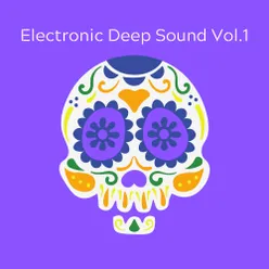 Electronic Deep Sound, Vol.1