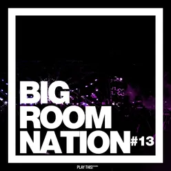 Big Room Nation, Vol. 13