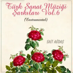 Türk Sanat Müziği Şarkıları, Vol. 6