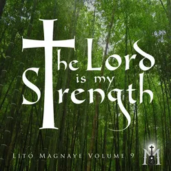 The Lord Is My Strength, Vol. 9-Minus One