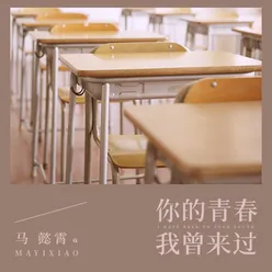 你的青春我曾来过