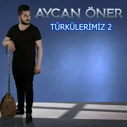 Türkülerimiz, Vol. 2