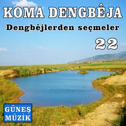 Dengbejlerden Seçmeler, Vol. 22