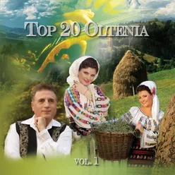Top 20 Oltenia, Vol. 1