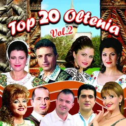 Top 20 Oltenia, Vol. 2