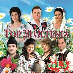Top 20 Oltenia, Vol. 3
