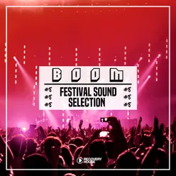 BOOM - Festival Sound Selection, Vol. 8