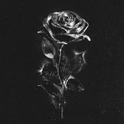 Чёрные розы