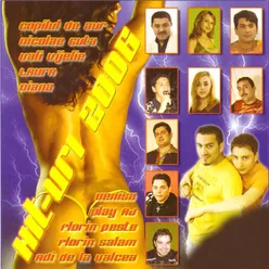 Hit-Uri 2006