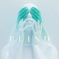 Blind