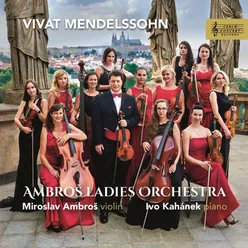 Violin Concerto in D Minor, MWV O3: II. Andante