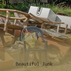 Beautiful Junk