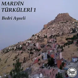Mardin Türküleri, Vol. 1