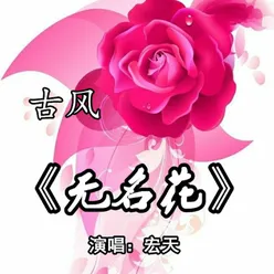 无名花