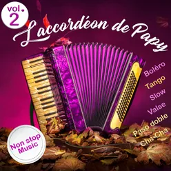 L'accordéon de Papy - Volume 2-Non-Stop Music