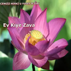 Ev Kıye Zava