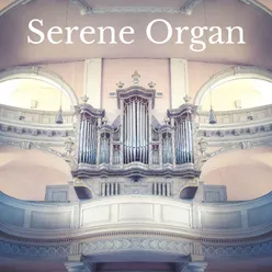 Serene Organ