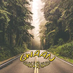Gwaan-Instrumental Mix