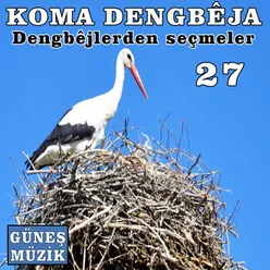 Dengbejlerden Seçmeler, Vol. 27