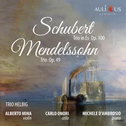 Schubert Piano Trio Op. 100 - Mendelssohn Piano Trio No. 1 Op. 49