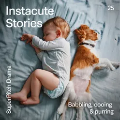 Instacute Stories-Babbling, Cooing and Purring