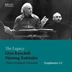 Symphony No. 1: II. Largo