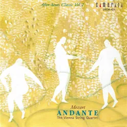 String Quartet No. 17 in B-Flat Major, Op. 10 No. 3, K. 458 "Hunt": III. Adagio